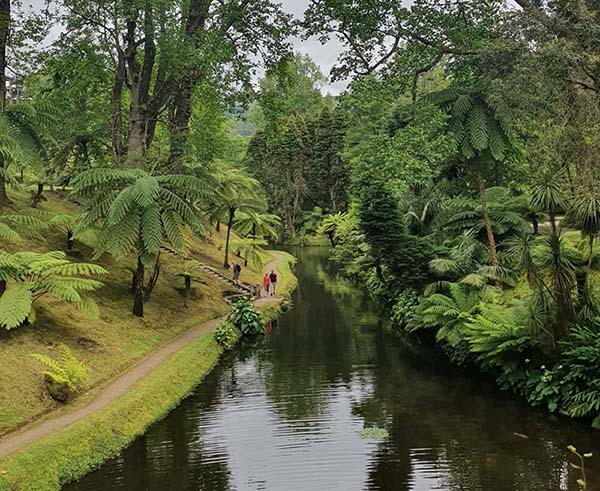 terra nostra gardens things to do in sao miguel azores