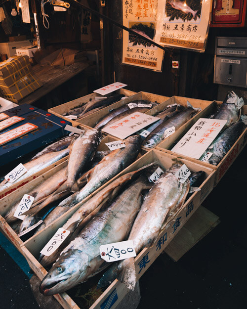 Tsukiji Outer Market Tokyo