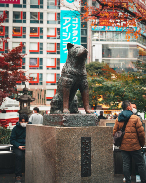 Hachiko Memorial Statue Shibuya Tokyo