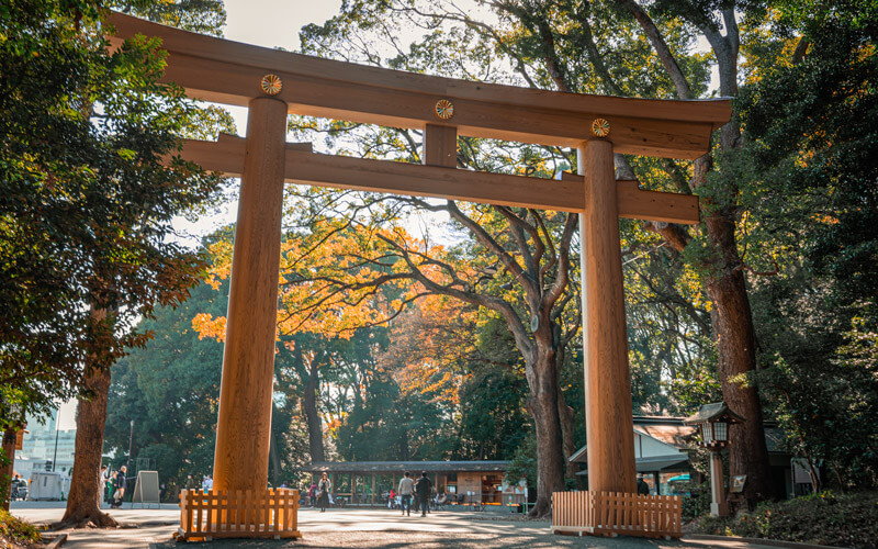 Meiji Shrine Harajuku Tokyo