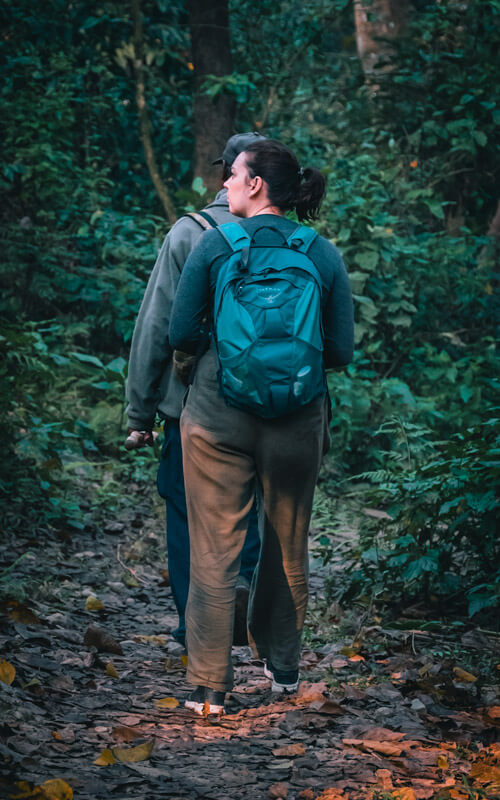 chitwan national park safari lottie