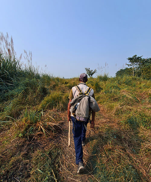 chitwan national park walking safari