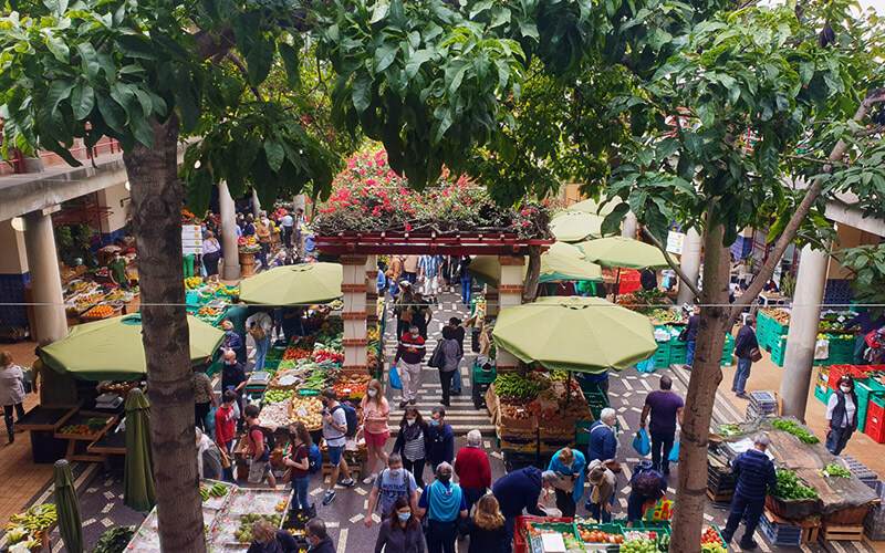 farmers market madeira itinerary