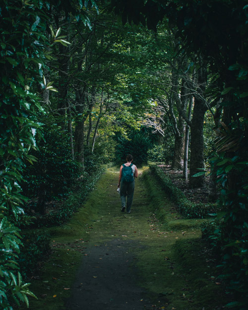 terra nosta gardens sao miguel azores