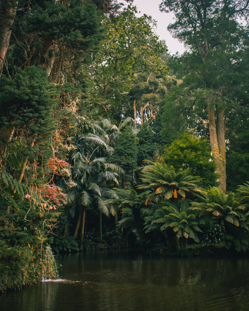 terra nosta gardens sao miguel azores