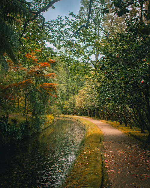 terra nosta gardens sao miguel azores