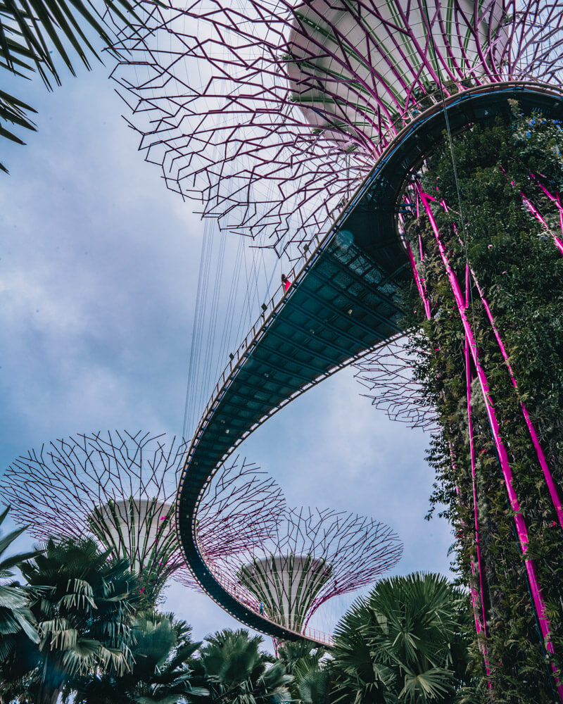 best things to do in singapore itinerary list image