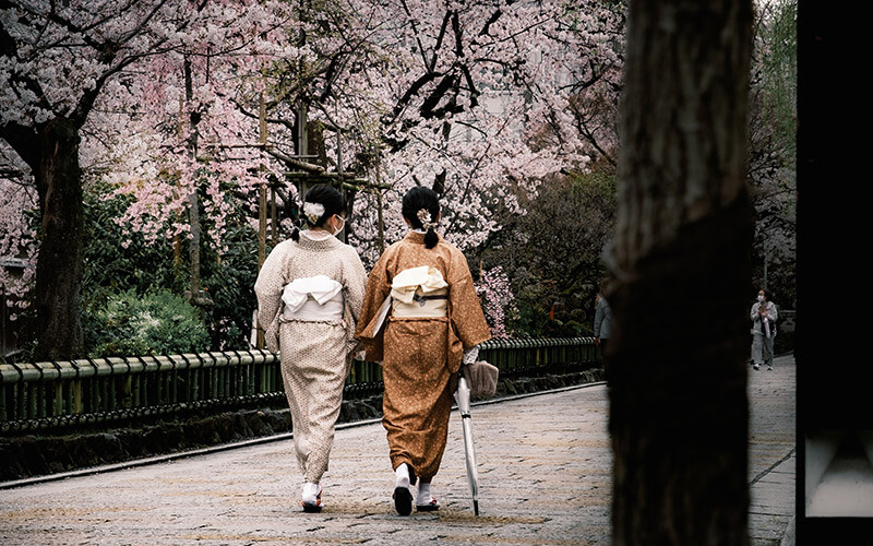 best things to do in kyoto itinerary cherry blossoms