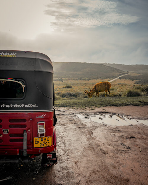 horton plains